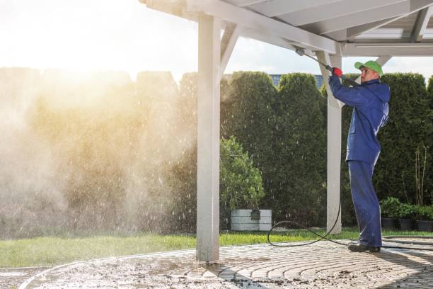 Animal Enclosure Cleaning in Boonville, MO